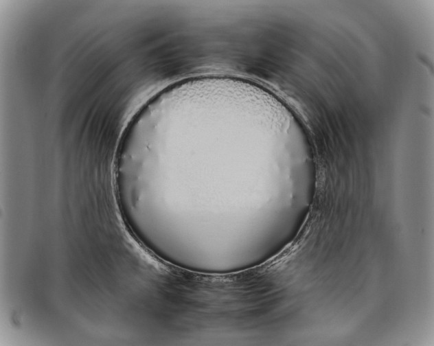 X0000097981239200804141110