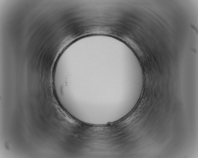 X0000097981240200804141110