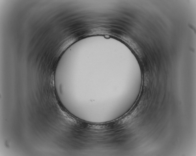 X0000097981241200804141110