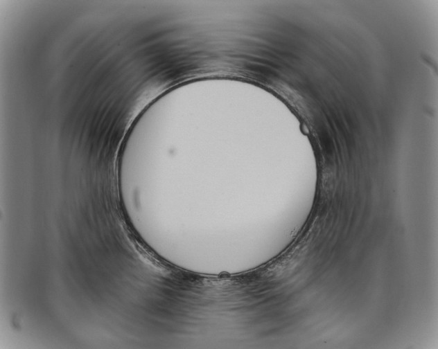 X0000097981242200804141110