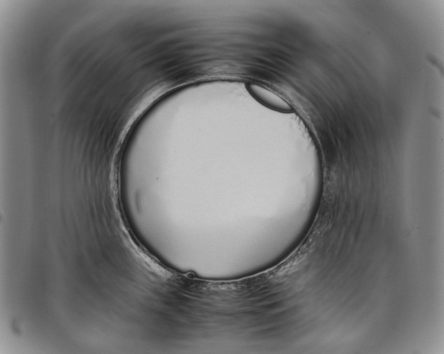 X0000097981243200804141110