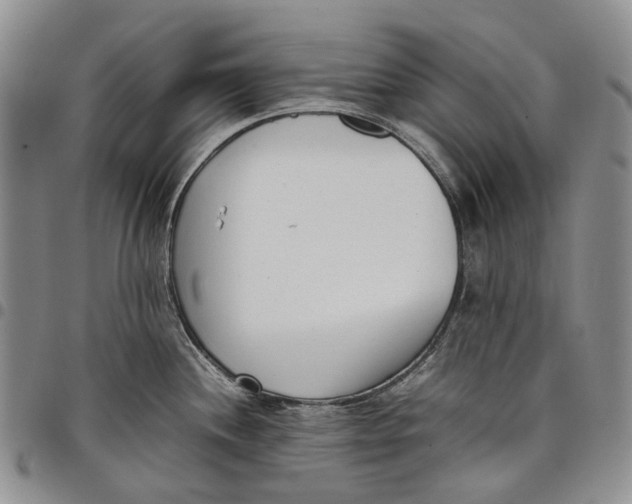 X0000097981244200804141110