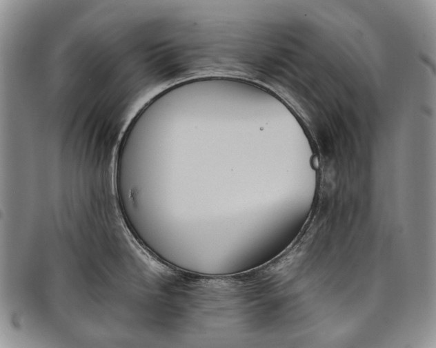 X0000097981246200804141110