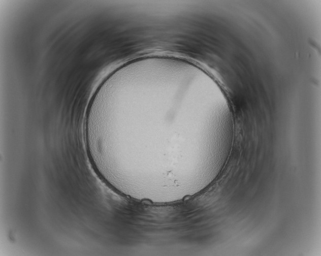 X0000097981247200804141110