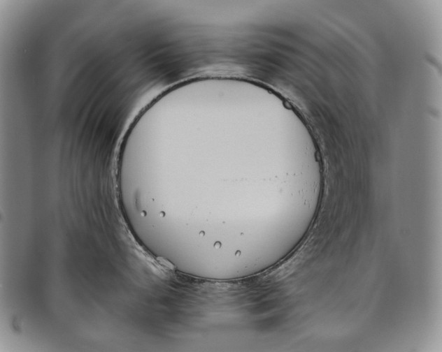 X0000097981248200804141110