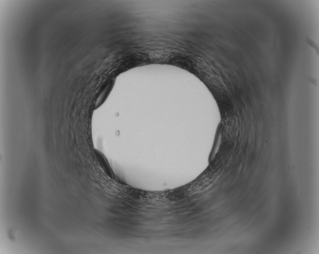 X0000097981249200804141109