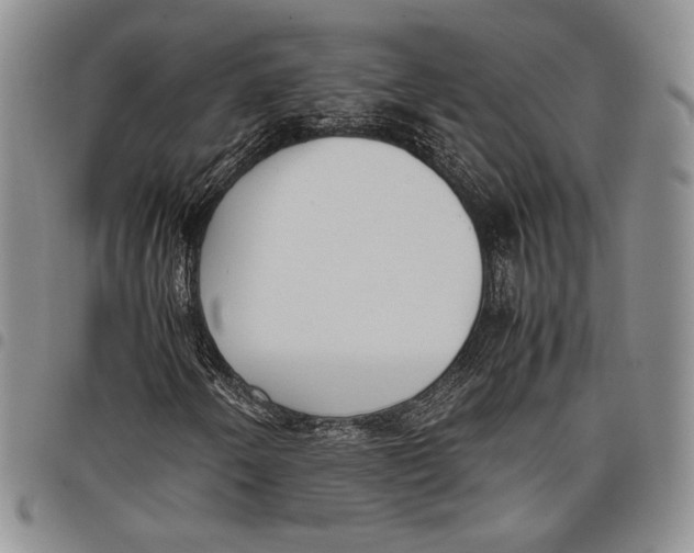 X0000097981250200804141109