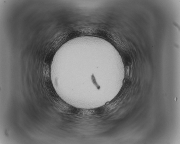 X0000097981251200804141109