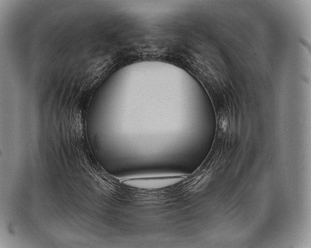 X0000097981252200804141109