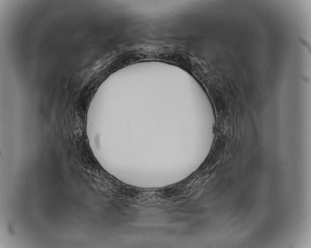 X0000097981253200804141109