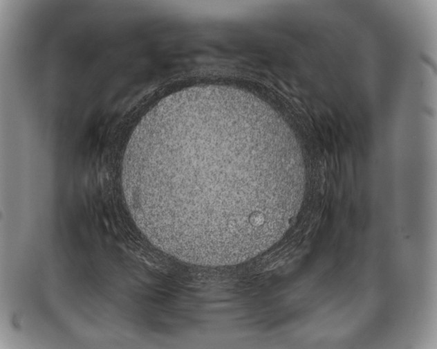 X0000097981254200804141109