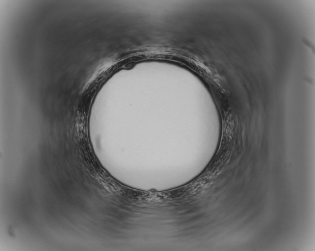 X0000097981255200804141109