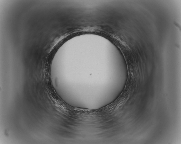 X0000097981256200804141109