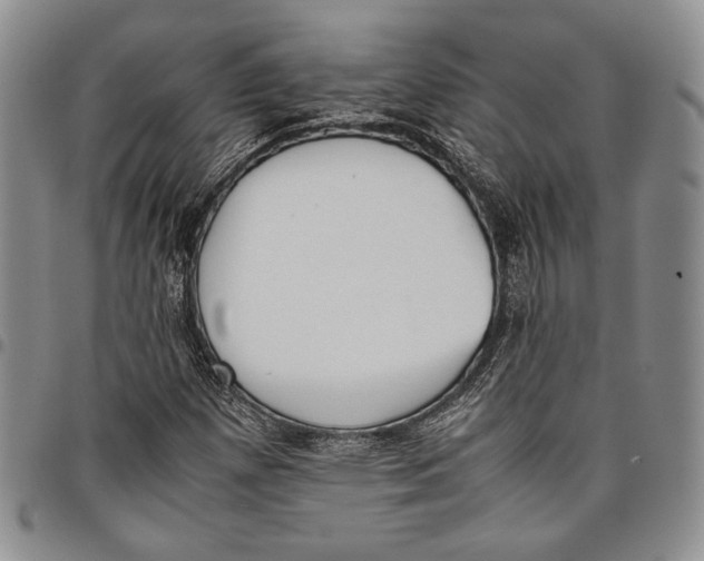 X0000097981257200804141109