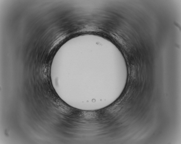 X0000097981258200804141109