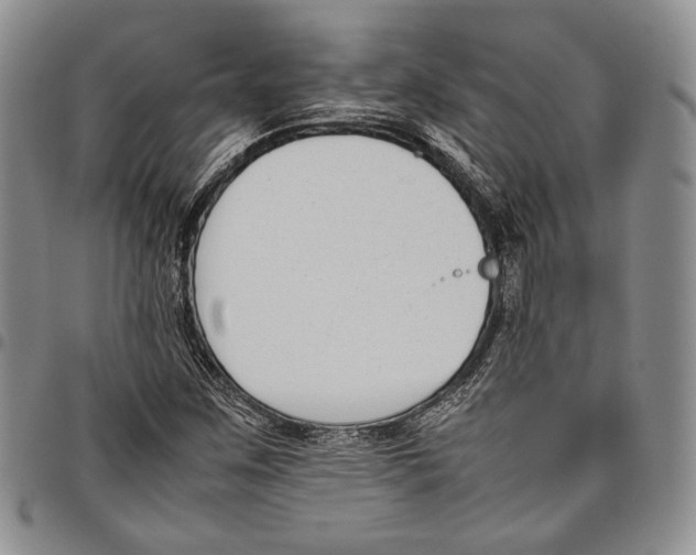 X0000097981259200804141109