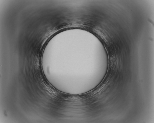 X0000097981260200804141109