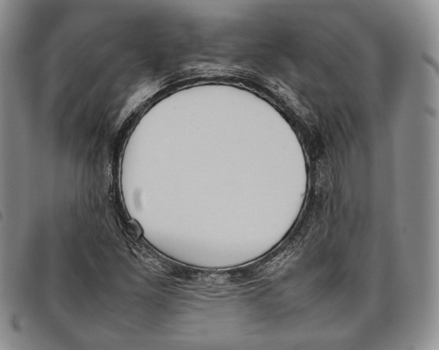 X0000097981261200804141109