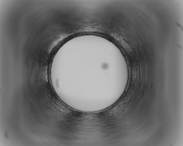 X0000097981262200804141109