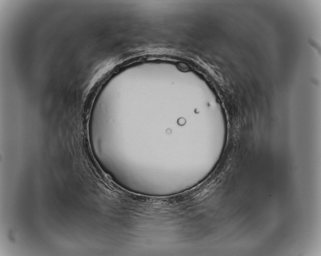 X0000097981263200804141109