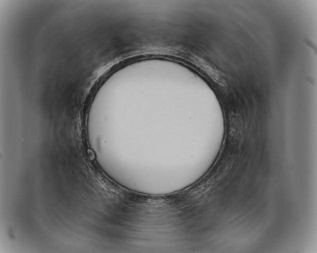 X0000097981264200804141109