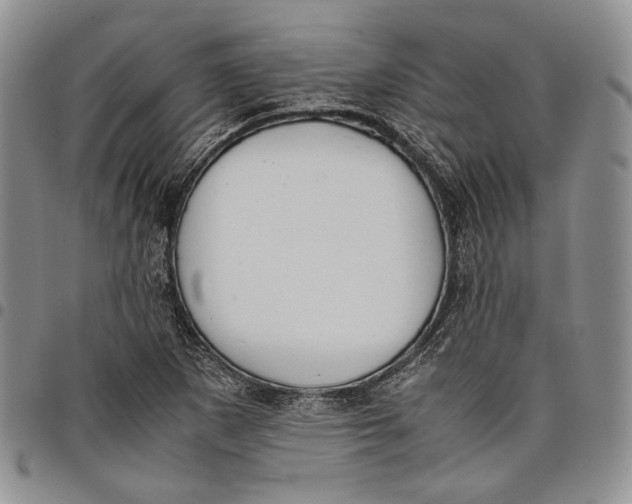 X0000097981265200804141109