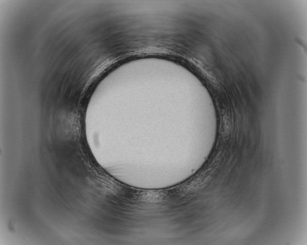 X0000097981266200804141109