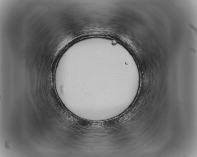 X0000097981267200804141109