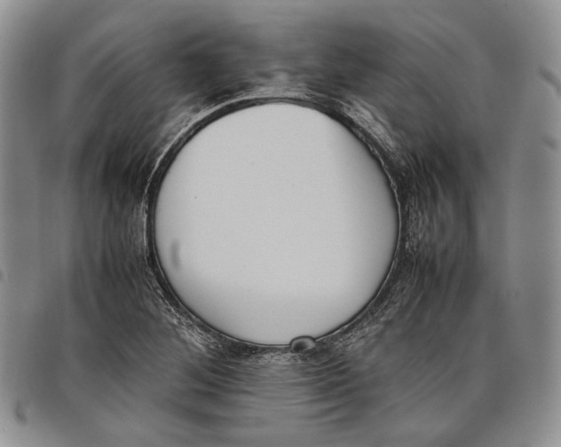 X0000097981268200804141109