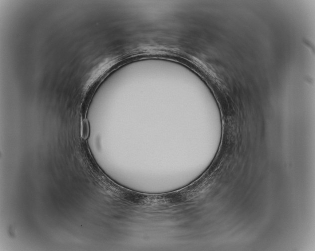 X0000097981269200804141109