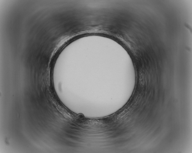 X0000097981270200804141109