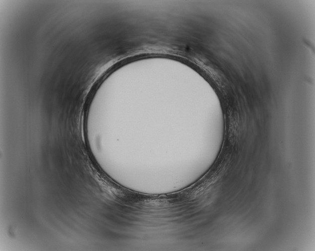 X0000097981272200804141109