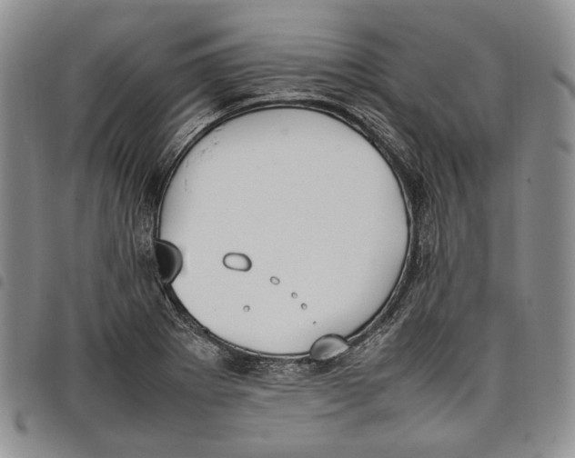 X0000097981273200804141109