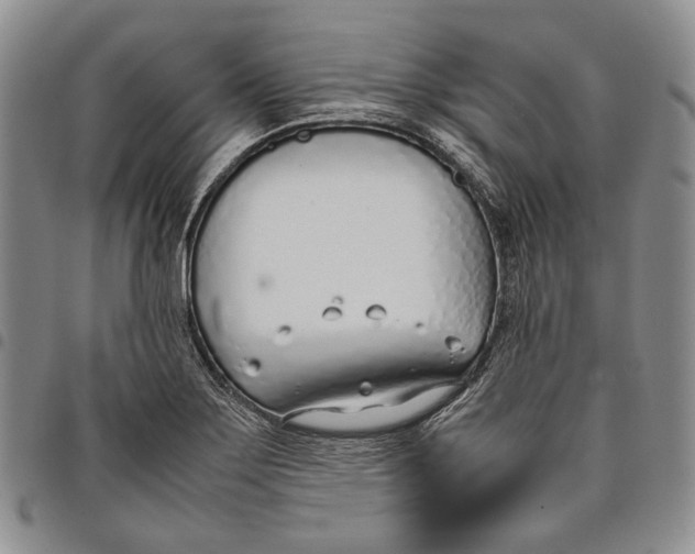 X0000097981275200804141109