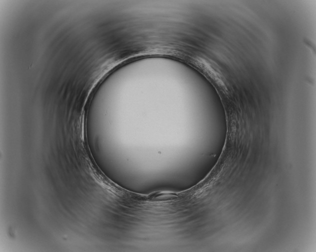 X0000097981276200804141109