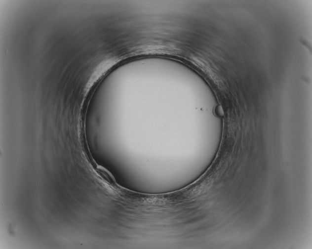 X0000097981277200804141109