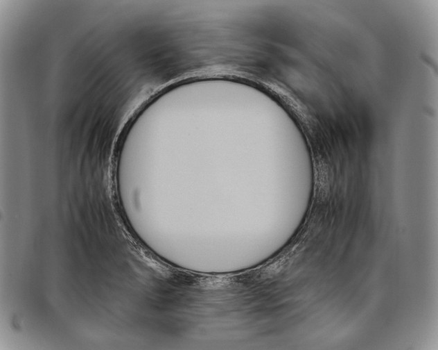 X0000097981278200804141109