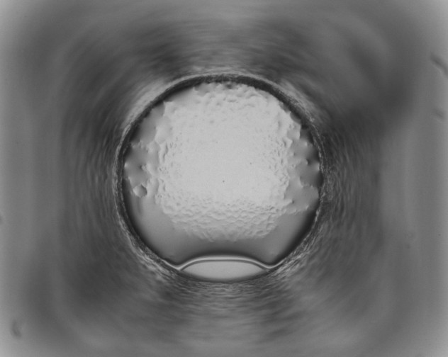 X0000097981279200804141109