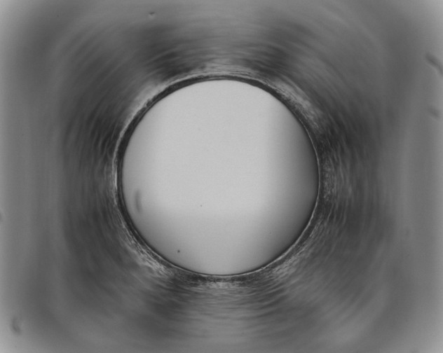 X0000097981280200804141109