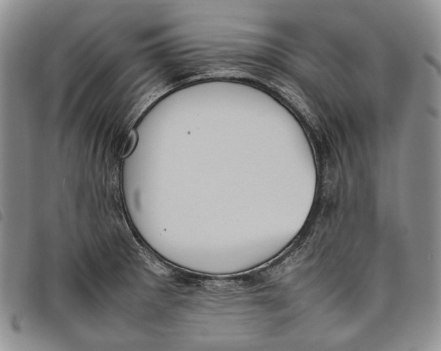 X0000097981281200804141109