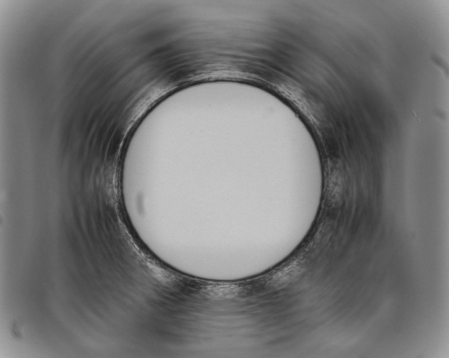 X0000097981282200804141109