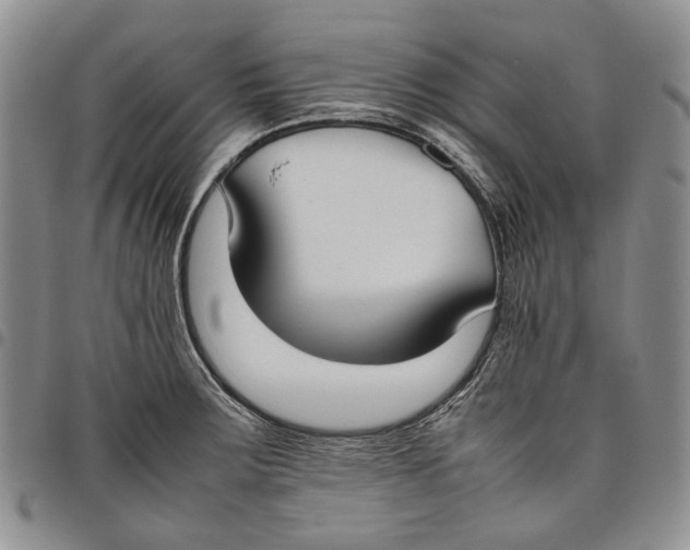 X0000097981283200804141109