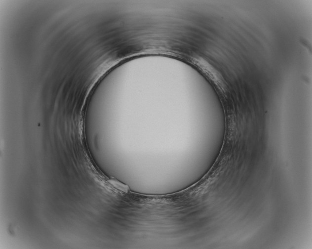 X0000097981284200804141109