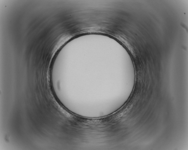 X0000097981285200804141109