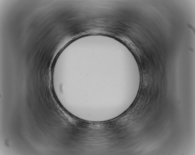 X0000097981286200804141109