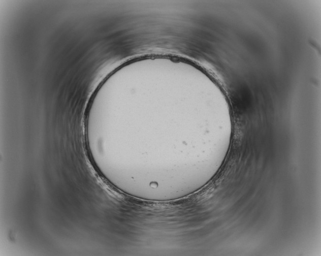 X0000097981287200804141109