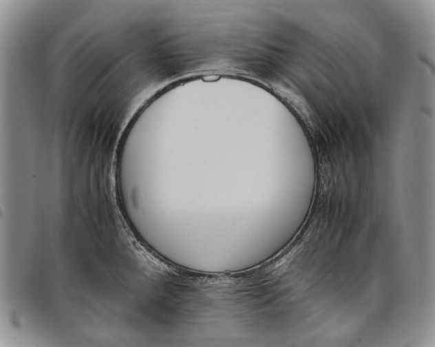 X0000097981288200804141109