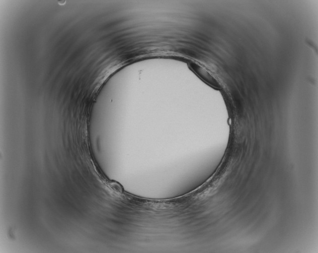 X0000097981289200804141109