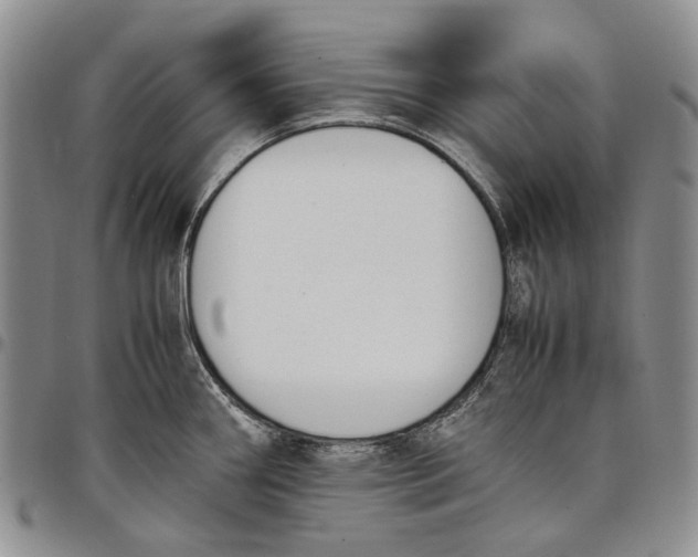 X0000097981290200804141109