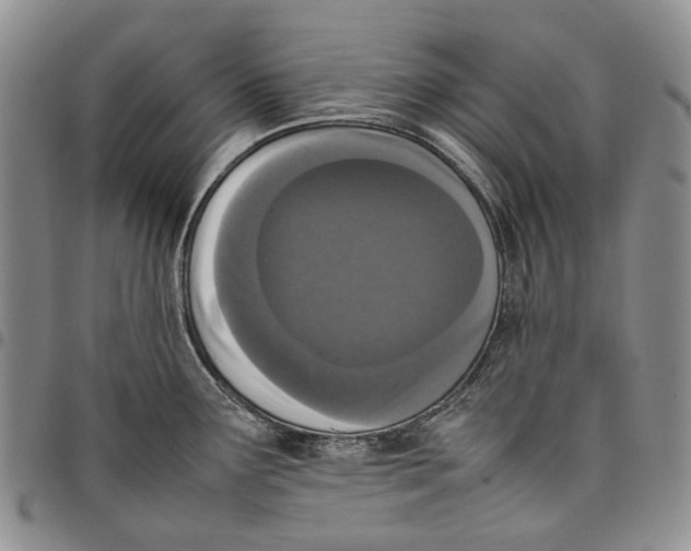 X0000097981291200804141109